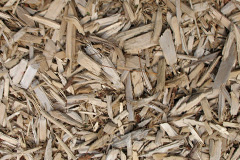 biomass boilers Largiemore